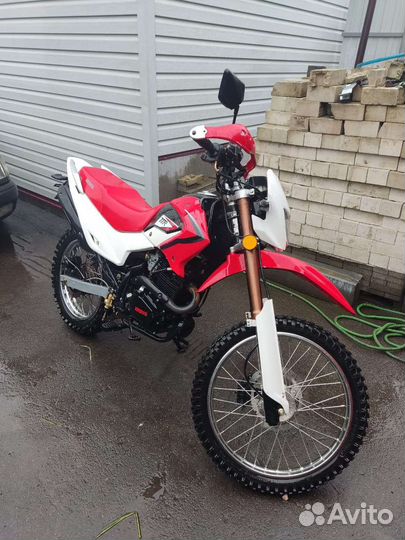 Ирбис ттр250р