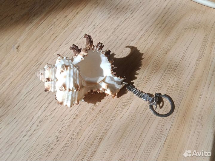 Брелок ракушки