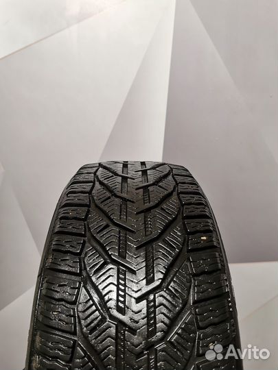 Tigar Winter 215/50 R17 95V