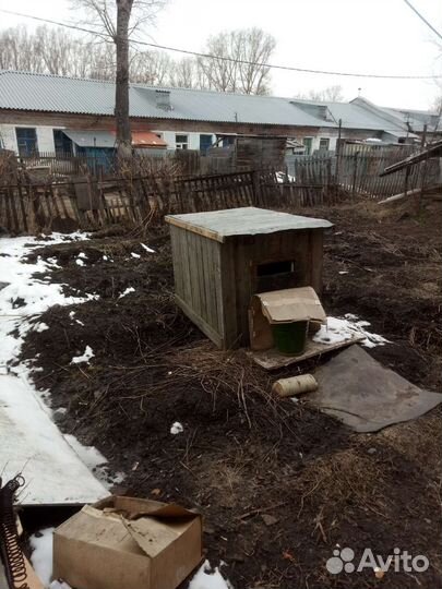 Будка для собаки