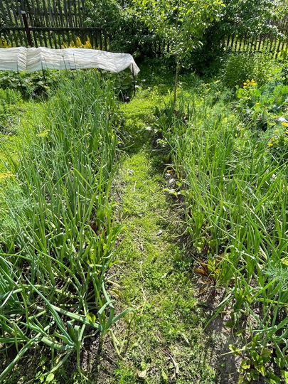 Дача 36 м² на участке 4 сот.