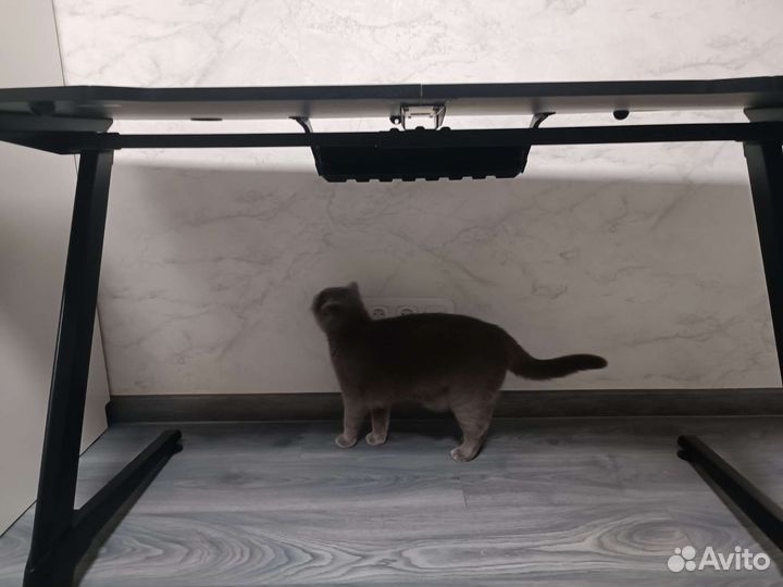 Геймерский стол игровой компьютерный ThunderX3 ED5