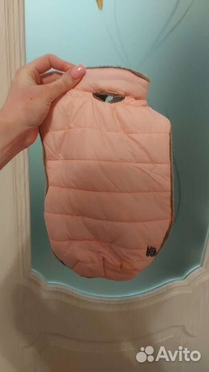 Куртка на маленькую собачку