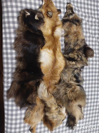 Продам шкуры