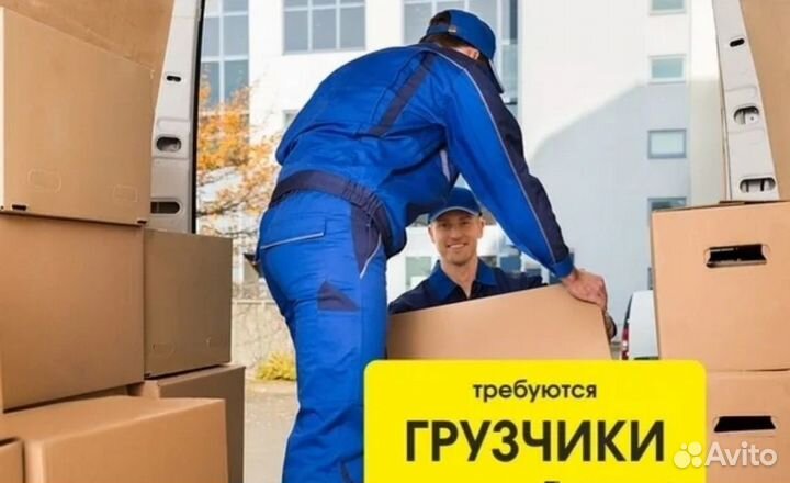 Подработка ежедневная оплата грузчик