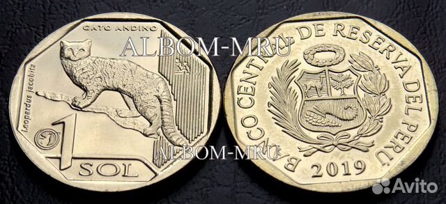 Парк кошек в перу. Перу кошка. Парк пиренеи во франции животные. Парк кошек в перу. Перу 1 соль 2019 андская кошка.