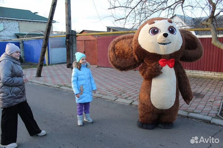 Ростовая кукла Чебурашка поздравление аниматор