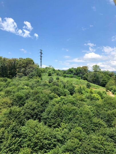 2-к. квартира, 45,7 м², 10/12 эт.