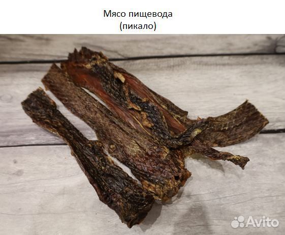 Сушеные лакомства для собак