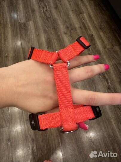 Шлейка для собаки бренда шарикдог