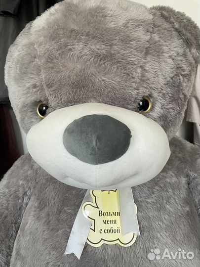 Плюшевый медведь