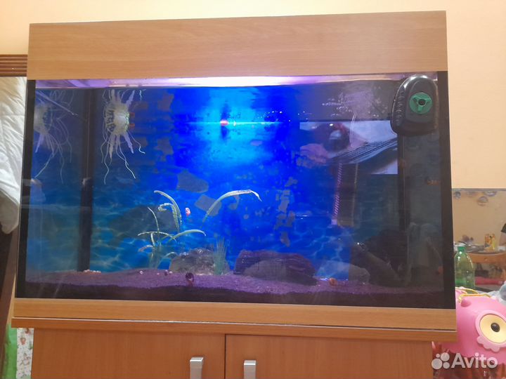 Аквариум 100 литров