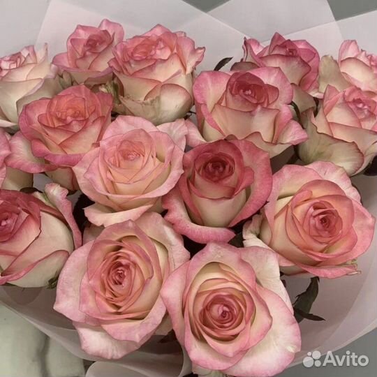 Букет из 15 роз сорта «Джумилия»