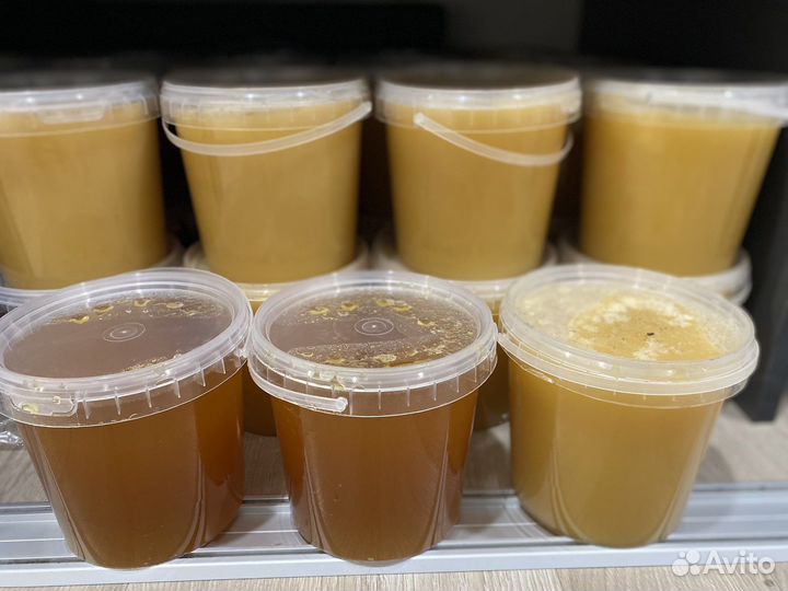 Мед таежный сибирский