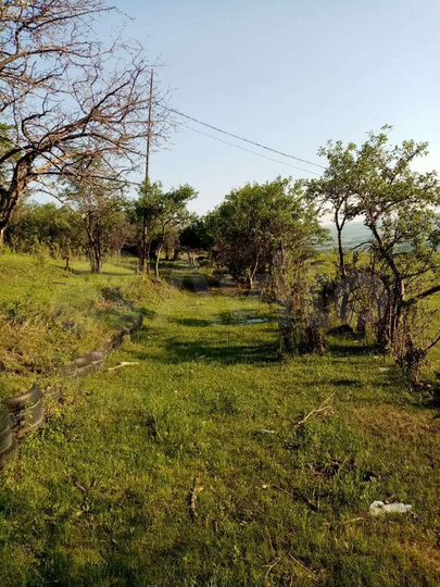 Участок 10 сот. (СНТ, ДНП)