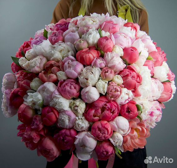 Пионы Букеты 51 101 201 Розы Доставка