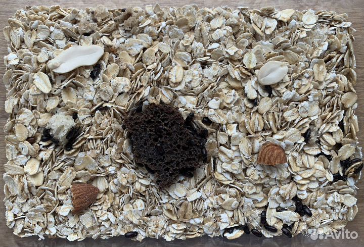 Жук-Знахарь