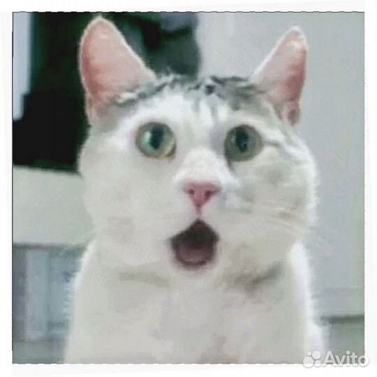 Фасовщик на склад Еженедельный аванс