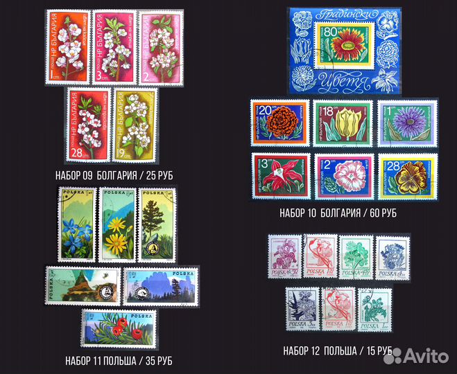 Марки на тему Флора, цветы, растения, кактусы