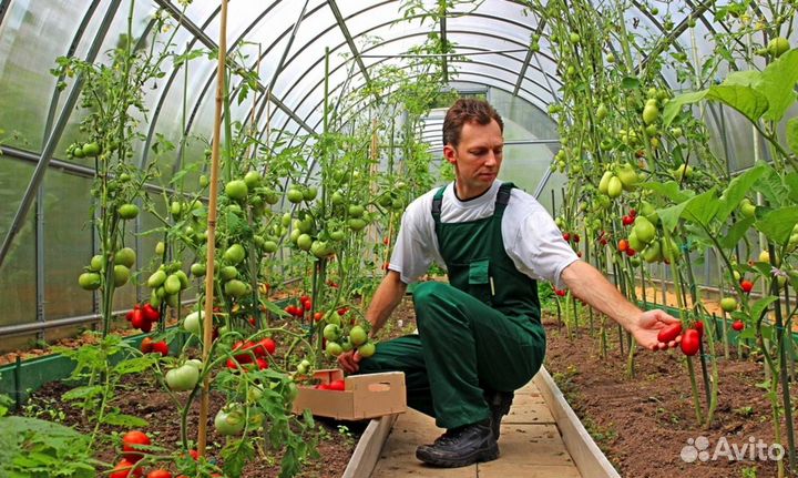 Фасовщики/Сборщики/Вахта в Туле/Проживание