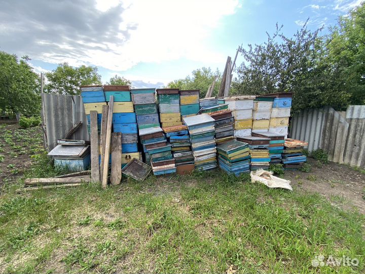 Все для пчеловодства