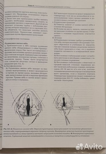 Скорая помощь и интенсивная терапия мелких жив