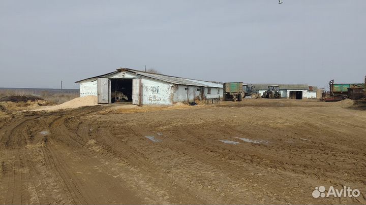 Животноводческая ферма продаю