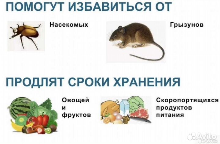 Озонирование помещений и автомобилей