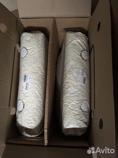 Грибной мицелий вешенки обыкновенной