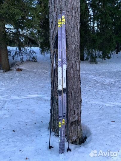 Лыжи беговые