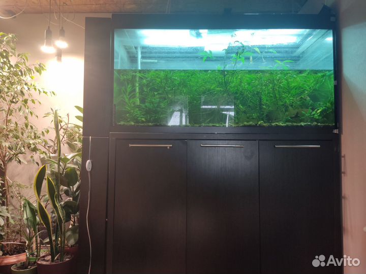 Аквариум с тумбой 500 литров