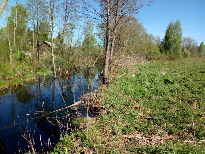 Участок 11 сот. (ИЖС)