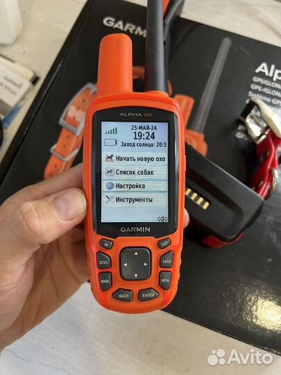 Навигатор Garmin Alpha 50 с ошейником T5