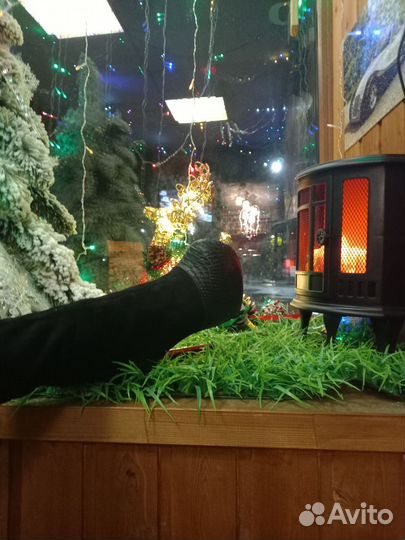 Сапоги крокодил замша