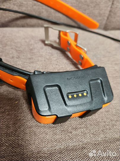 Ошейник Garmin DC50 рус. лай