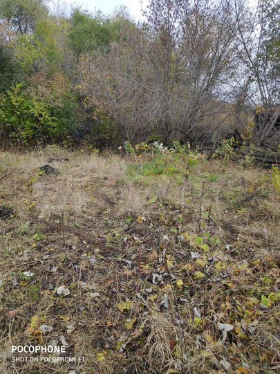 Участок 6 сот. (ИЖС)