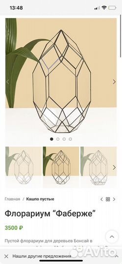 Флорариум стеклянный, большой