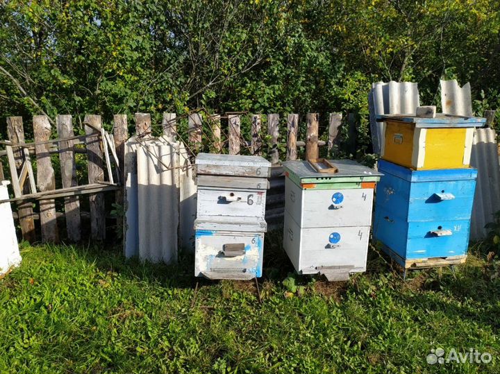 Ульи с рамками