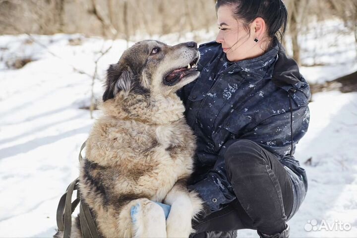 Ищет дом классная большая Мадина