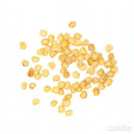 Семена перца острого