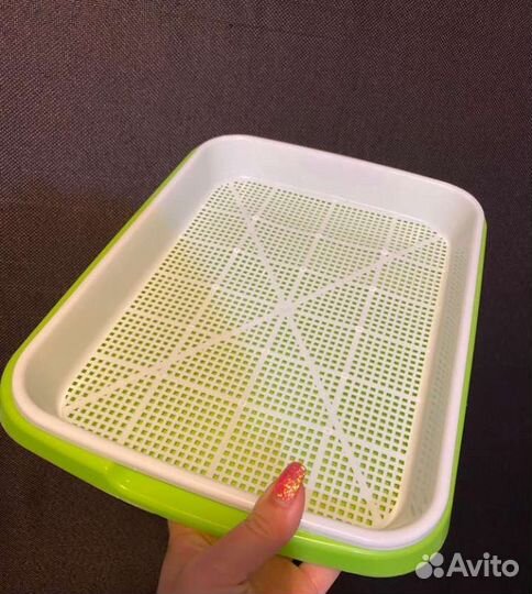 Проращивать лоток для семян и микрозелени