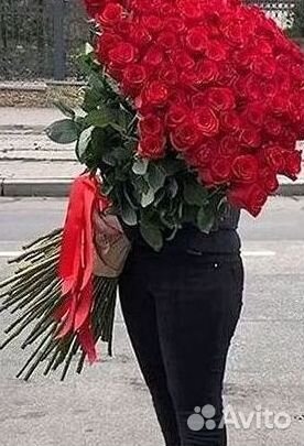 Высокие Розы Гиганты Доставка Круглосуточно