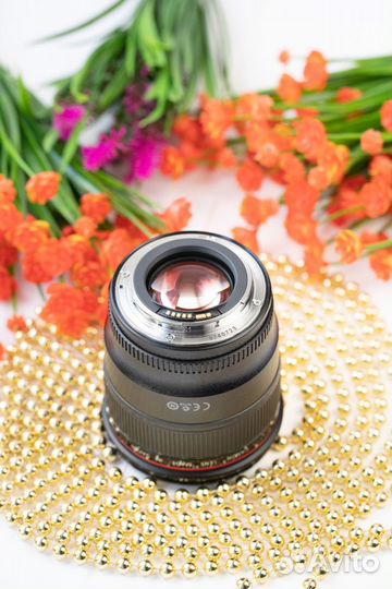 Canon EF 24mm f/1.4L II USM