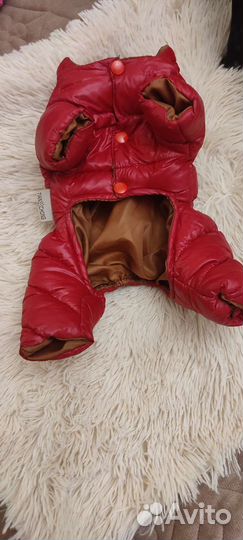 Комбинезон для маленьких пород собак