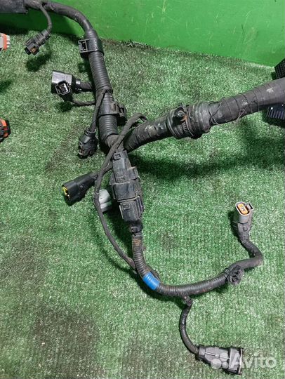 Жгут проводки двигателя KIA ceed (ED) 2008