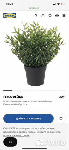 Комнатный бамбук Икея вместе с корзиной