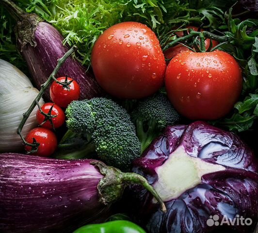 Разнорабочий на овощи /Вахта питание проживание