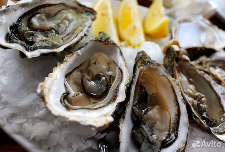 Живые морепродукты