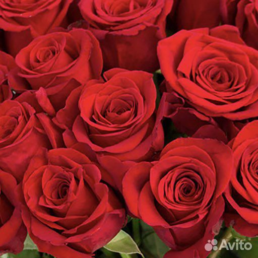 Цветочница