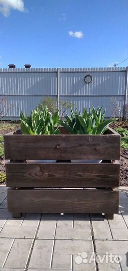 Кашпо для растений